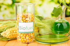 Penybedd biofuel availability