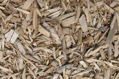biomass boilers Penybedd